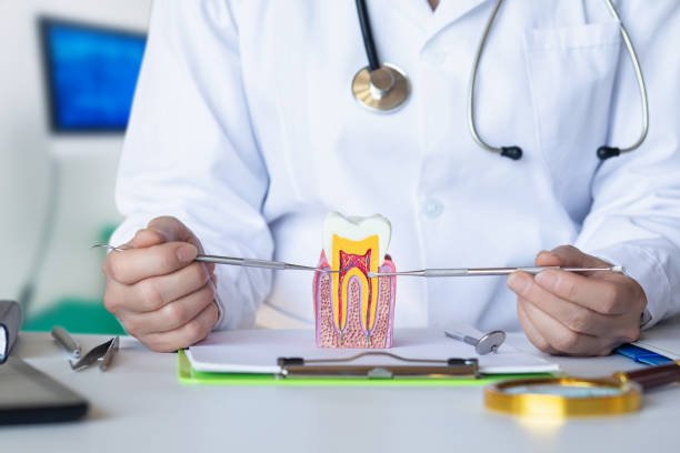 Best Broken Tooth Emergency  in Lapeer, MI